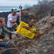 Illustration for article titled Iguanas Reintroduced to the Largest Galapagos Island After Nearly 200 Year Absence